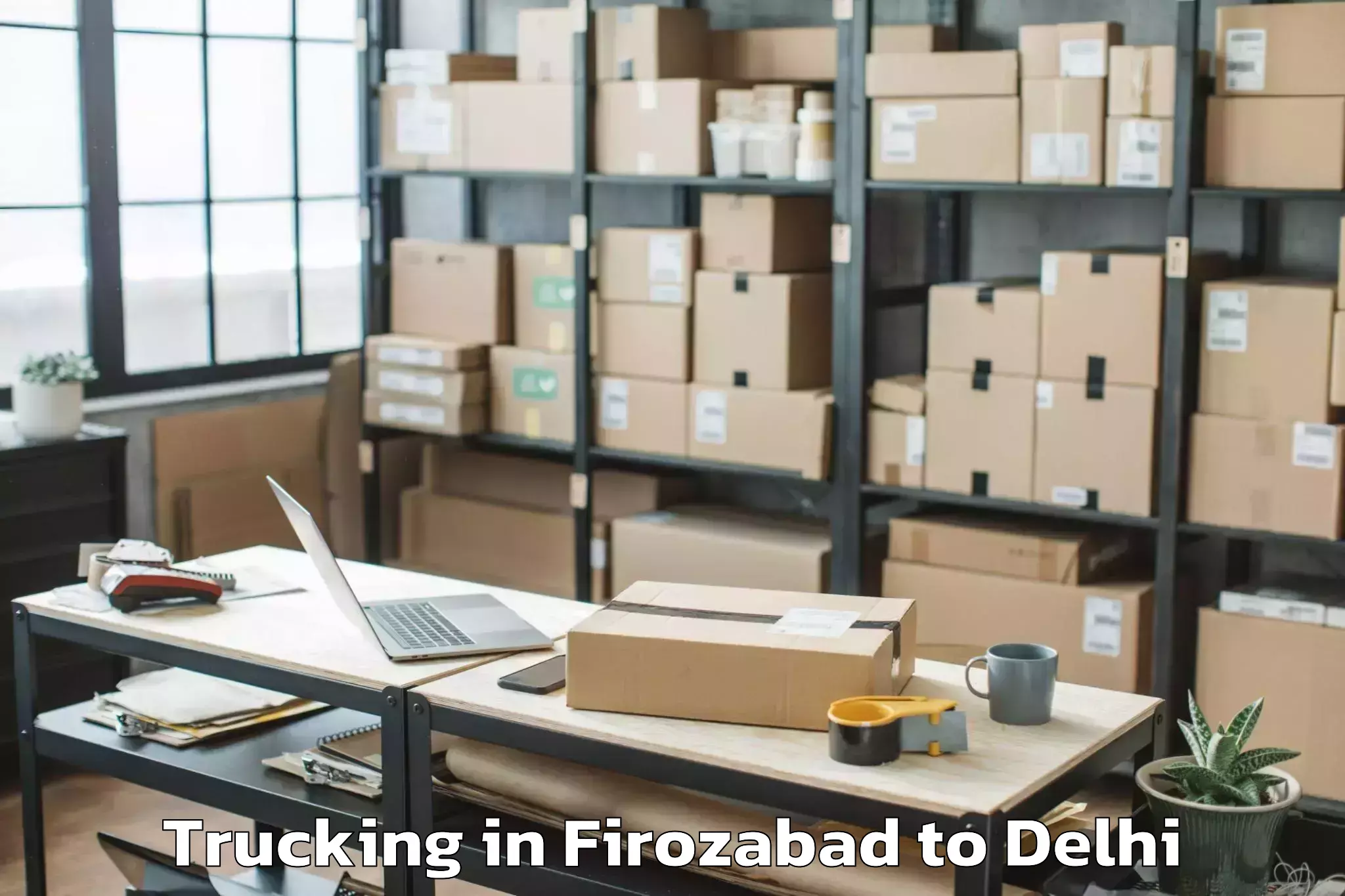 Top Firozabad to Bawana Trucking Available